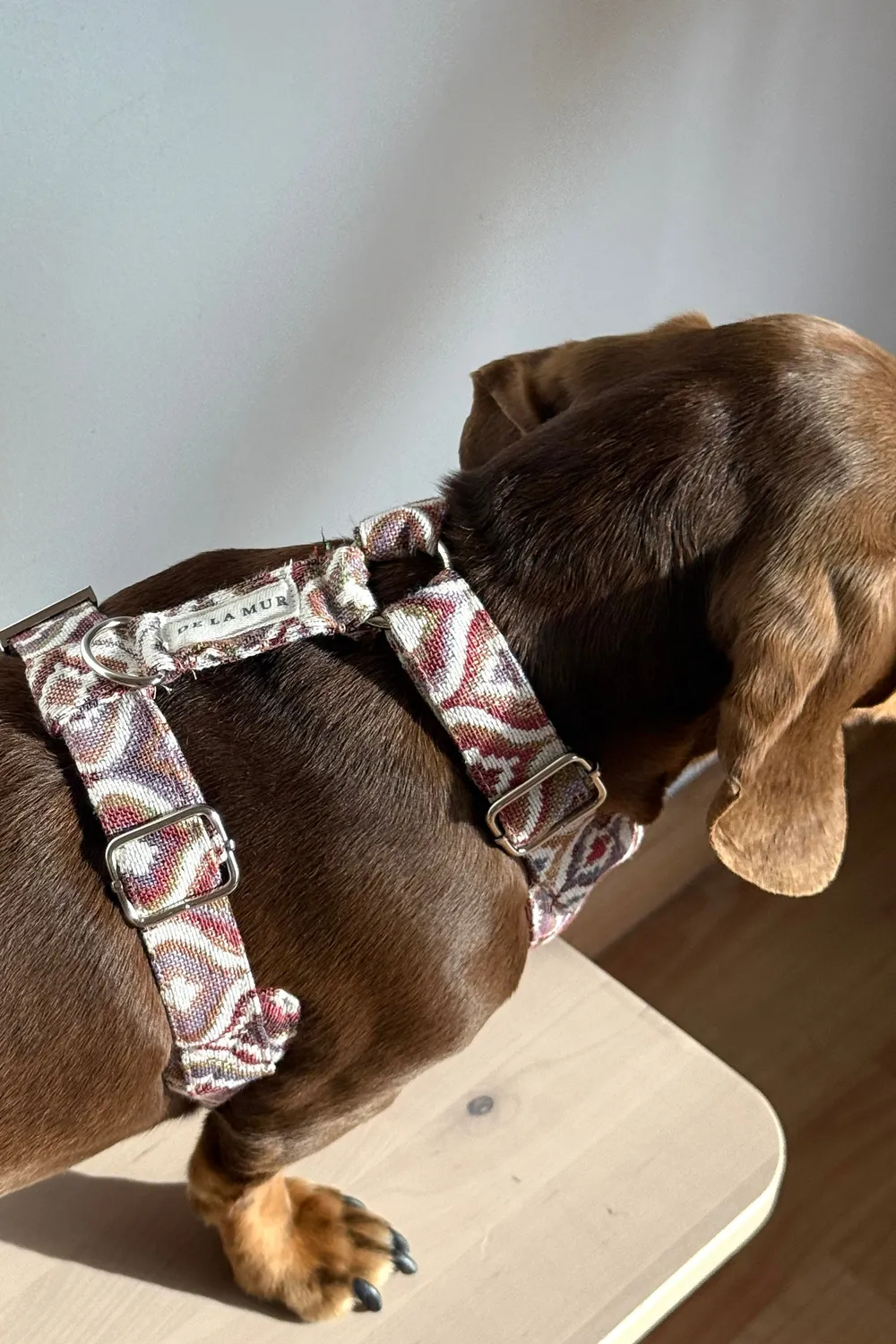 De La Mur Onda hundesele og bånd lilla mellomstor hund
