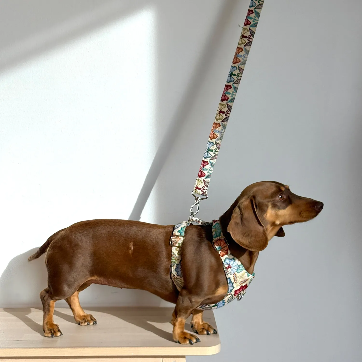 De La Mur Flora hundesele og bånd medium blomstret